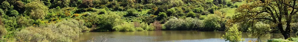 Sjön Lago Coda di Riccio och skogen i Ficuzza