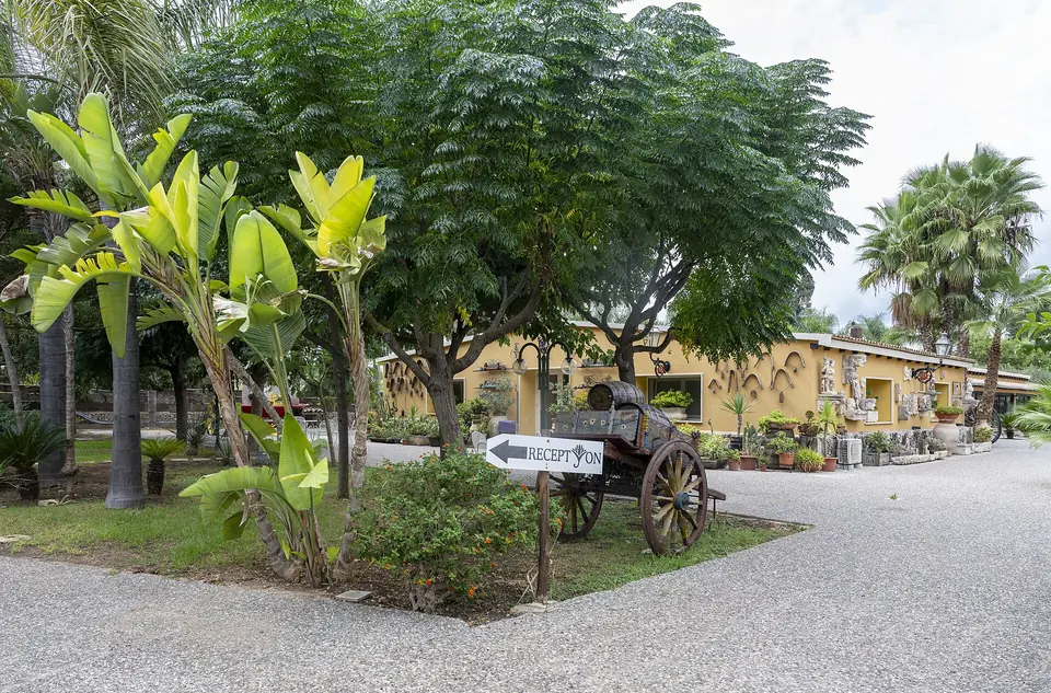 Trädgårdsmiljö vid Agriturismo Papyrus utanför Syrakusa.