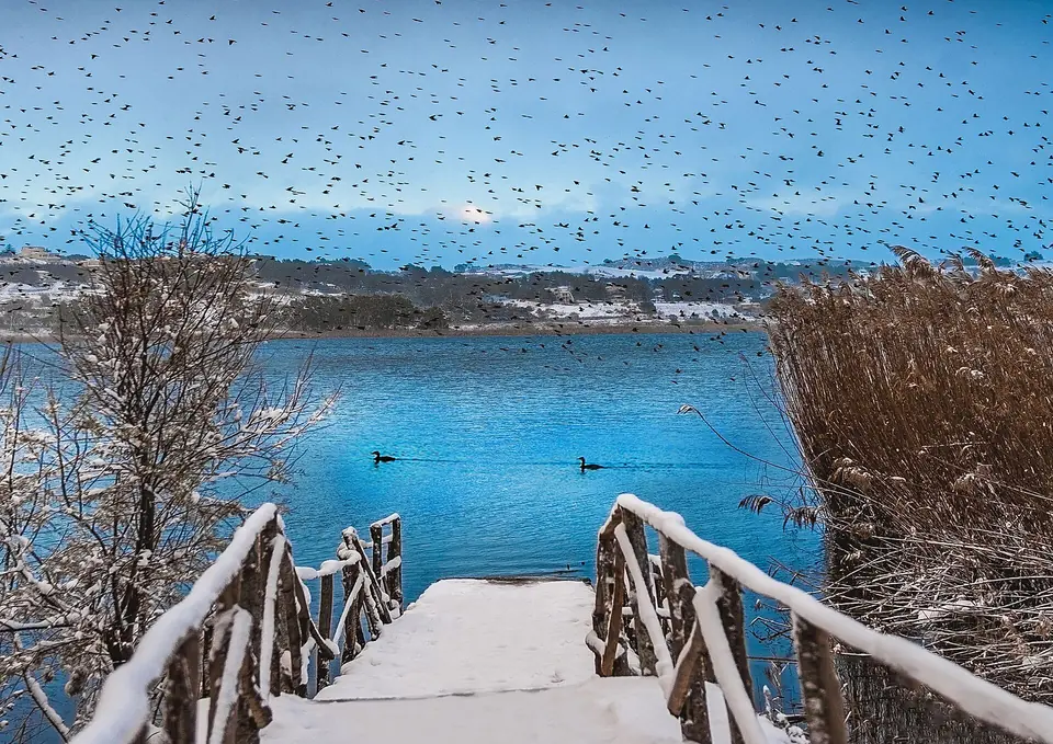 Fågelflock och en brygga vid Lago di Pergusa